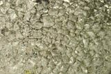 Natural Pyrite Concretion - China #142978-1